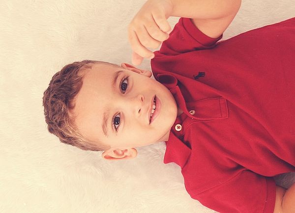 Book Rafael 